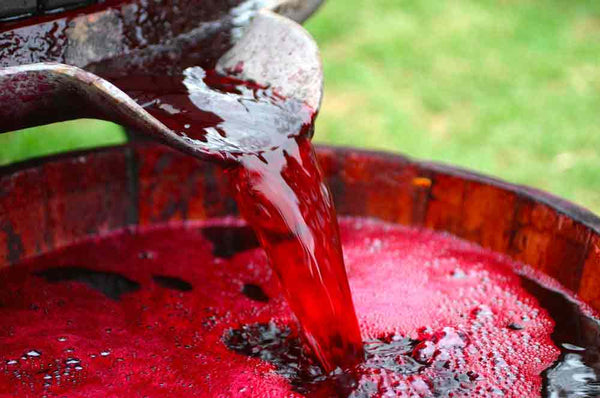 Wie und wann man Wein dekantiert: Nützliche Tipps
