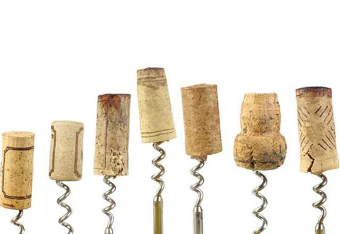 Birth and evolution of the cork stopper