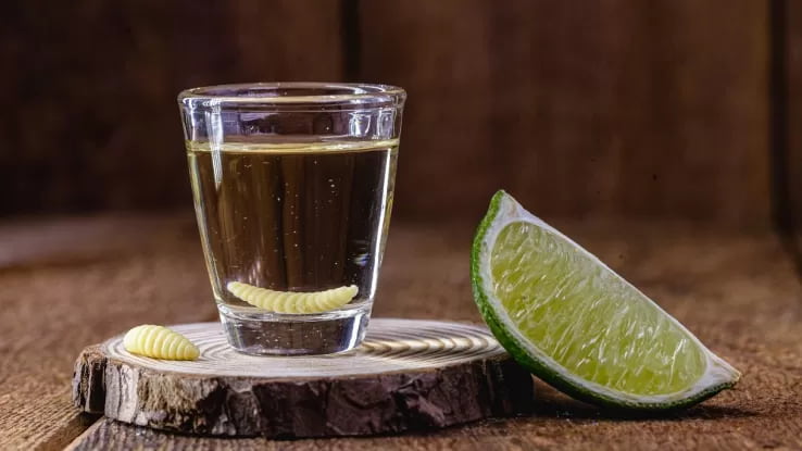 Tequila: Die Wahrheit über den Wurm – Mythologie oder Realität?