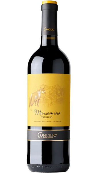 Trentino DOC Marzemino - Concilio Linea Nativi - Cantina di Trento