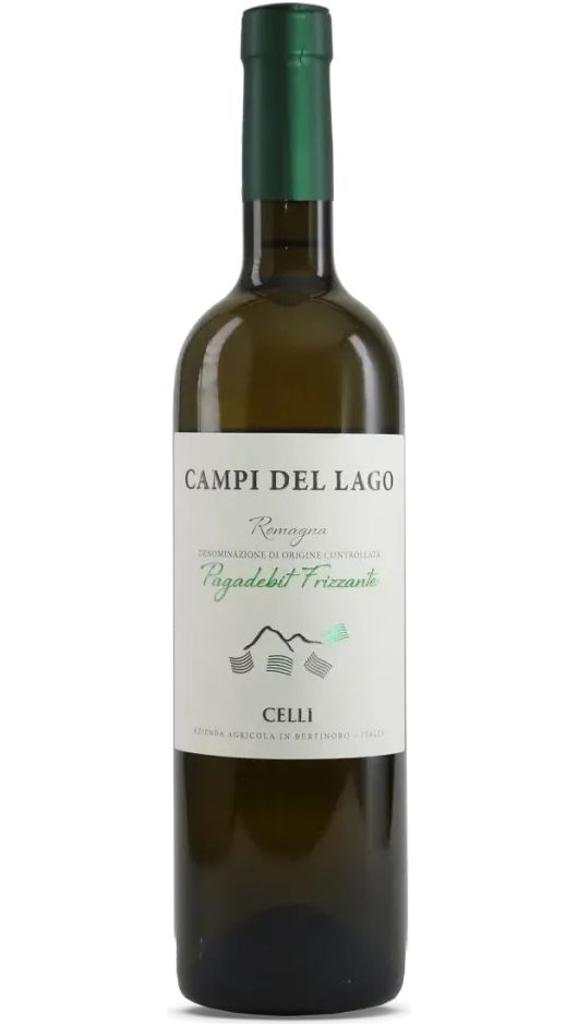 Campi Del Lago Pagadebit Frizzante DOC BIO - Azienda Agricola Celli