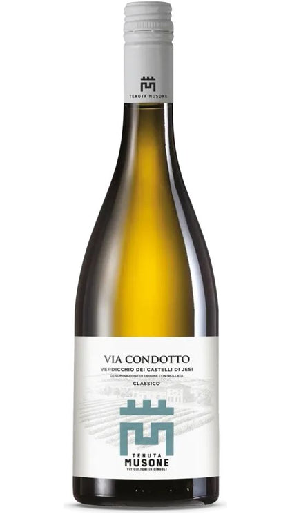 Verdicchio Castelli di Jesi Classico DOC - Via Condotto - Magnum - Tenuta Musone