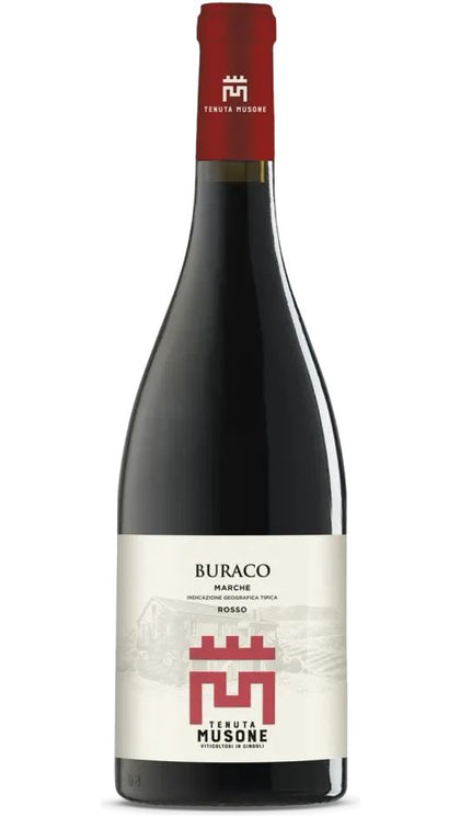 Rosso Marche IGT - Buraco - Tenuta Musone
