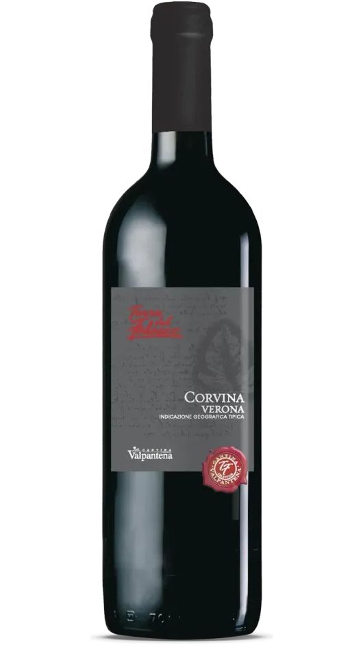 Corvina IGT - Classico Torre del Falasco - Cantina di Valpantena