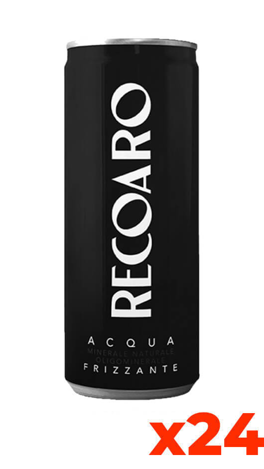 Acqua Recoaro Frizzante - Emballage 33cl x 24 Boîtes
