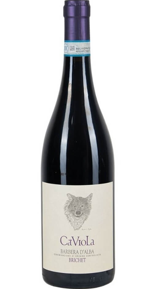 Barbera d'Alba DOC - Brichet - Ca' Viola