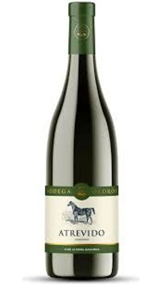 Chardonnay Atrevido - Bodega Oloron
