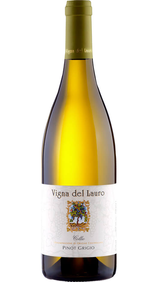 Collio Pinot Grigio DOC 2020 - Vigna del Lauro Bottle of Italy