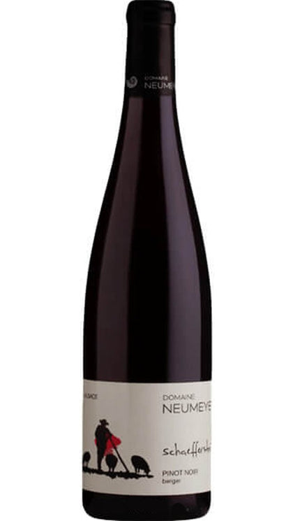 Pinot Noir - Schaefferstein - Domaine Neumeyer