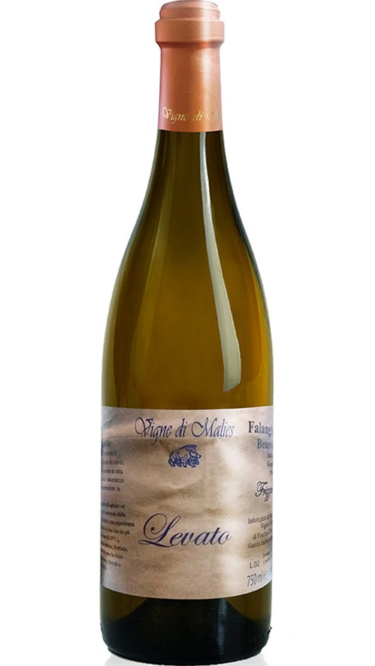 Falanghina - Levato - Vigne di Malies