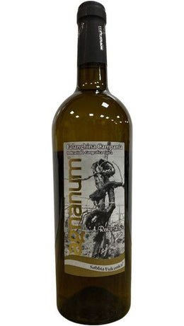 Falanghina Campania Sabbia Vulcanica IGT - Agnanum