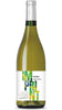 Falanghina IGT - Imprint of Mark Shannon - Cantina A Mano