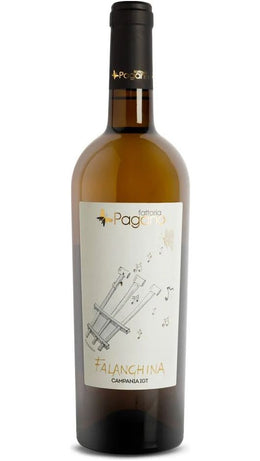Falanghina IGT BIO - Fattoria Pagano