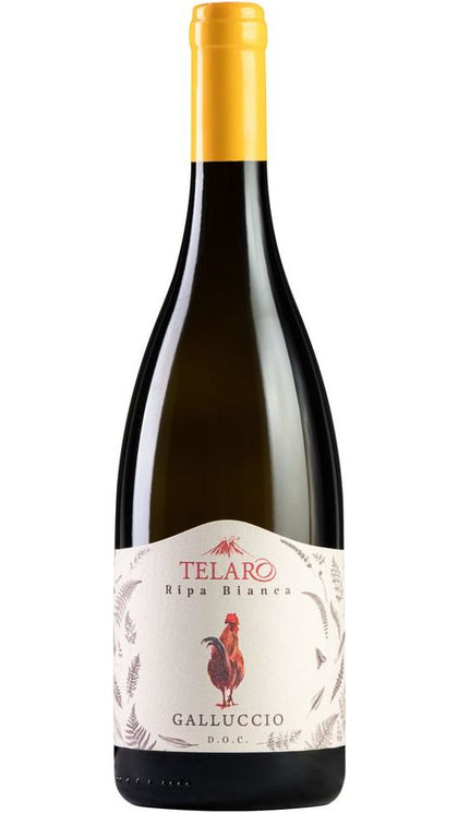 Falanghina Ripa Bianca Galluccio DOC - Telaro