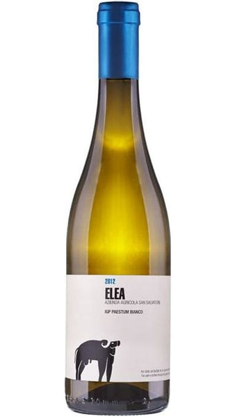 Greco - Elea - San Salvatore 1988