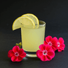 Limoncello della Scogliera 70cl