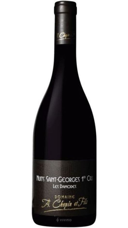 Nuits St Georges Les Damodes Pinot Noir by A. Chopin Bottle of Italy Nuits St Georges Les Damodes Pinot Noir by A. Chopin Bottle of Italy