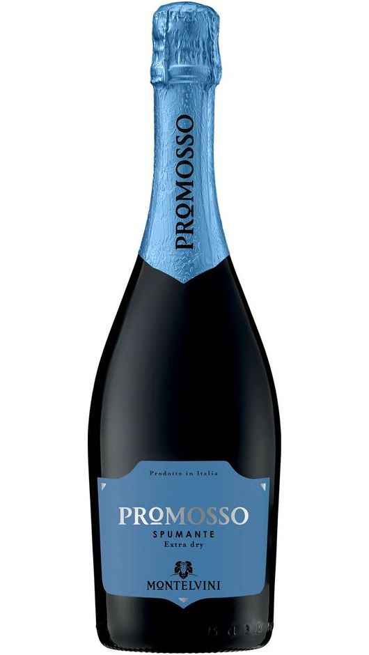 Promosso Spumante Treviso Extra Dry - Montelvini