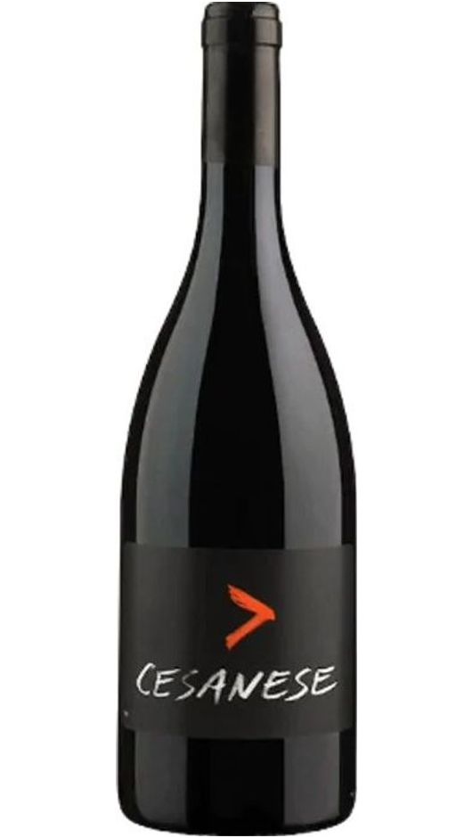 Rosso IGT Lazio Cesanese - L'Olivella