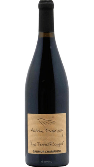 Saumur Champigny 2020 - Terres Rouge -  Antoine Sanzay