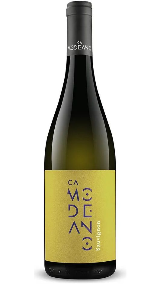 Sauvignon Friuli DOC - Ca Modeano