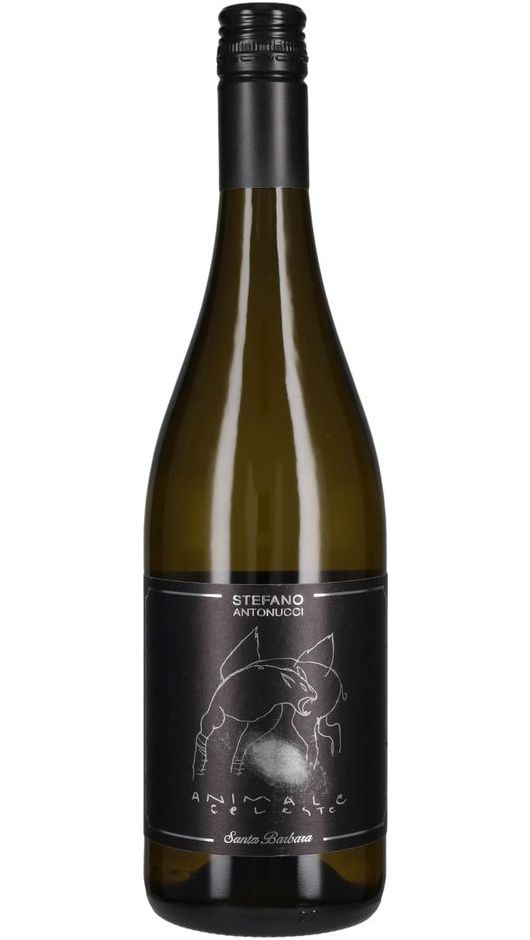 Sauvignon IGT - Animale Celeste - Santa Barbara
