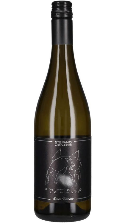 Sauvignon IGT - Animale Celeste - Santa Barbara