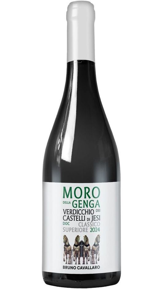 Verdicchio Classico Superiore - Cavallaro