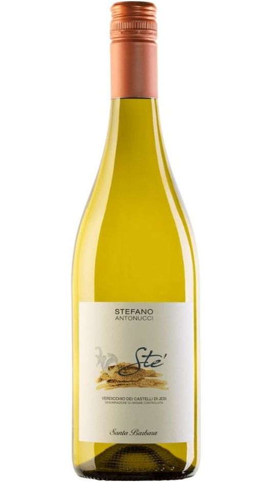 Verdicchio di Jesi DOC - Ste - Santa Barbara
