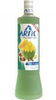 Vodka Artic Thai Fruits 100cl