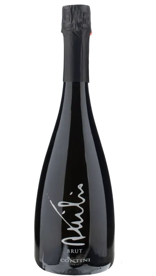 Spumante Brut - Attilio - Contini