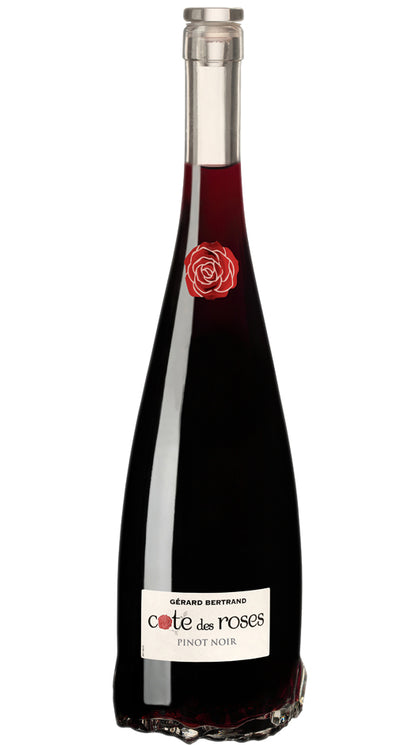 Pays d'Oc Pinot Noir IGP Côte Des Roses - Gérard Bertrand