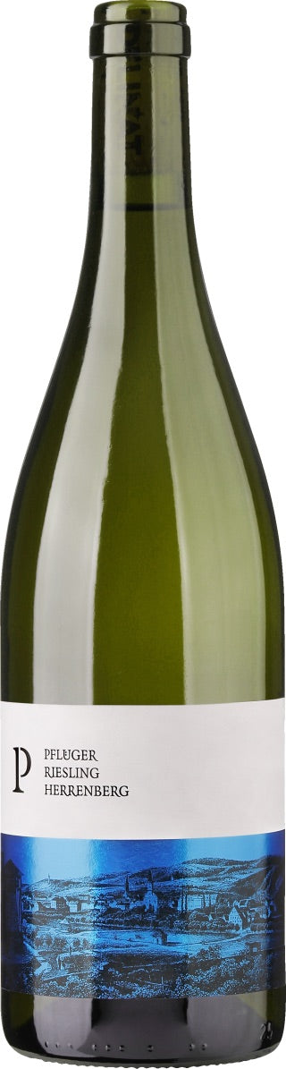 Riesling - Pfalz - Ungsteiner Herrenberg - Pflüger
