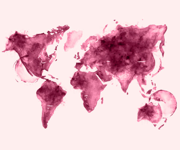 Wines from the world