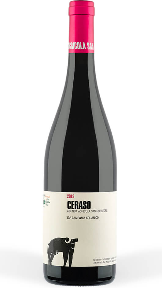 Aglianico Paestum IGP 2020 - Ceraso - San Salvatore 1988 Bottle of Italy