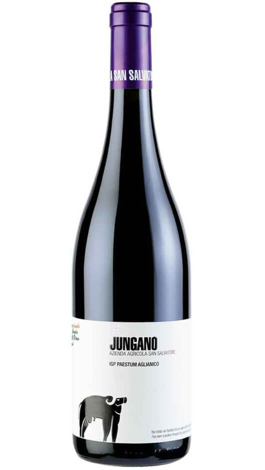 Aglianico Paestum IGP 2018 - Jungano - San Salvatore 1988 Bottle of Italy