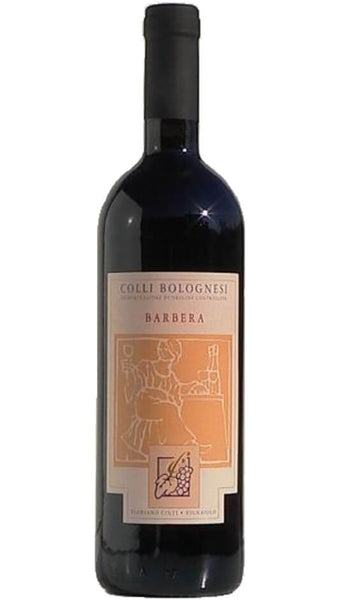 Barbera Colli Bolognesi DOC 2018 - Cinti Floriano Bottle of Italy