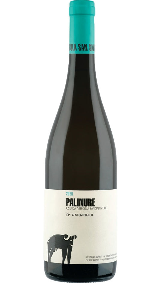 Bianco Paestum IGP 2020 - Palinure - San Salvatore 1988 Bottle of Italy