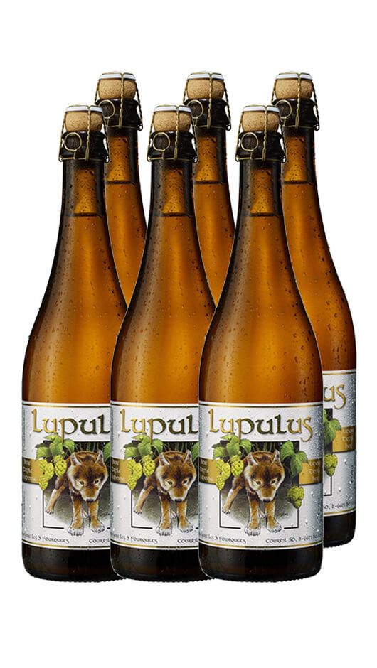 Strong Belgian Ale - Lupulus 75cl - Cassa da 6 Bott. Bottle of Italy