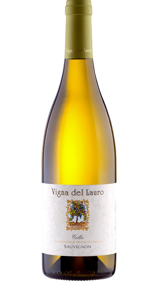 Collio Sauvignon DOC 2020 - Vigna del Lauro Bottle of Italy