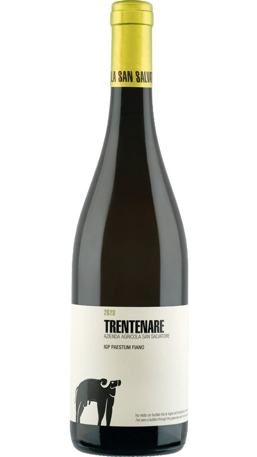 Fiano Paestum IGP 2020 - Trentenare - San Salvatore 1988 Bottle of Italy