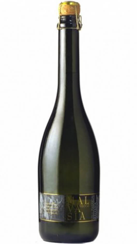 Malvasia Secca Frizzante Colli Piacentini DOC 2019 - La Costa Binelli Bottle of Italy