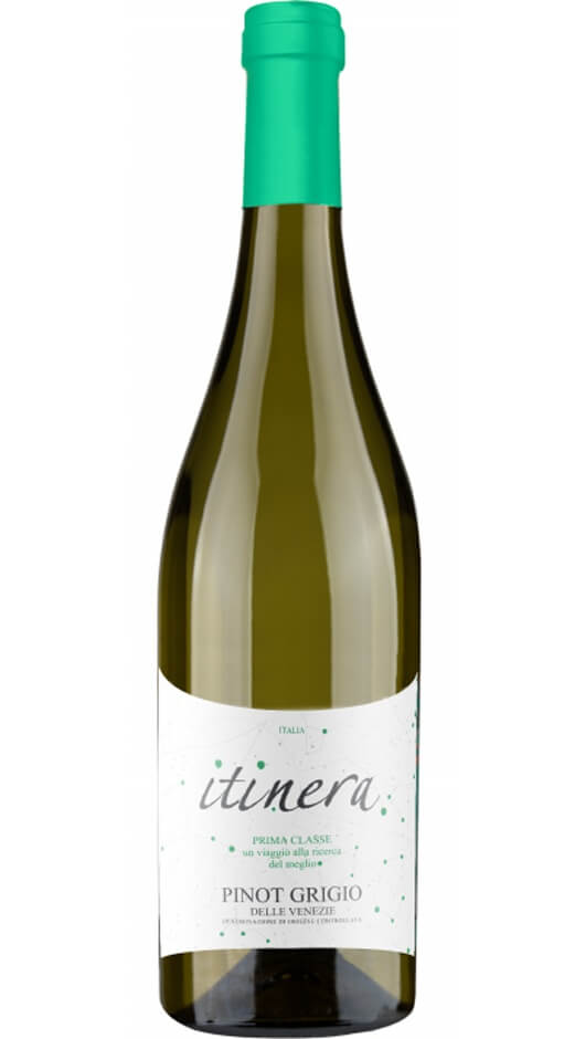 Pinot Grigio delle Venezie DOP 2019 - Itinera Prima Classe Bottle of Italy