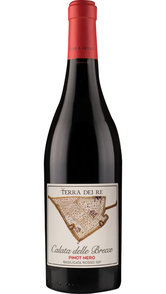 Pinot Nero IGP 2017 - Calata Delle Brecce - Terra dei Re Bottle of Italy