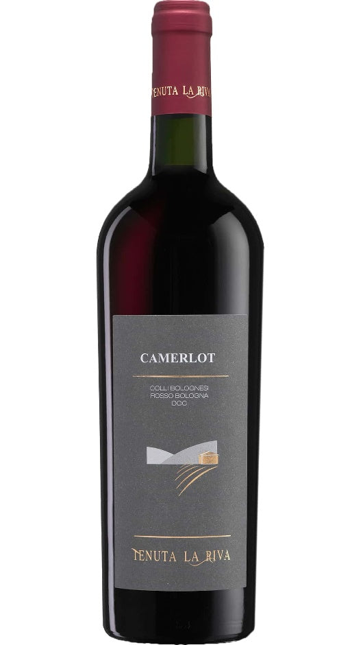 Rosso Bologna DOC 2015 - Camerlot - La Riva Bottle of Italy