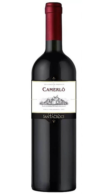 Rosso Bologna DOC - Camerlò - Tenuta Santa Croce