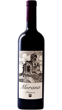 Sangiovese Forlì IGP BIO - Morana - Il Pratello