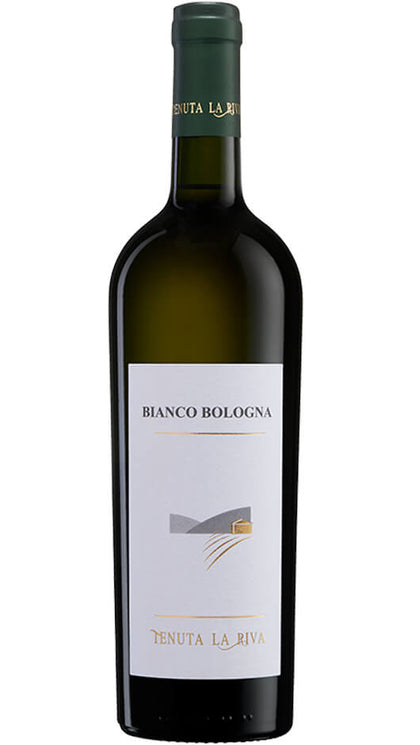 Sauvignon Blanc DOC - Bianco Bologna - La Riva