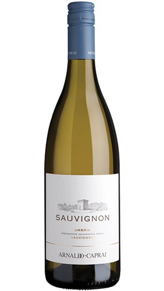 Sauvignon IGT 2020 - Arnaldo Caprai Bottle of Italy