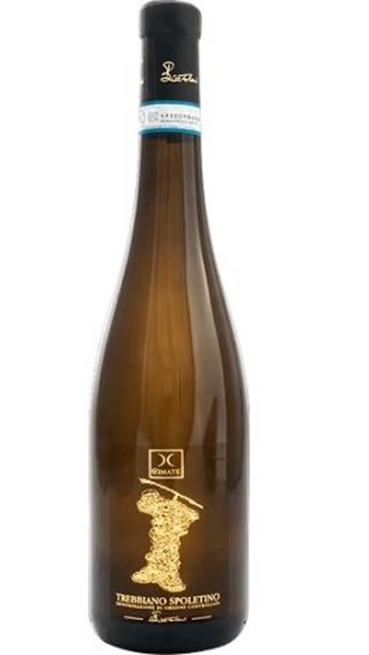 Trebbiano Spoletino DOC 2019 - Le Cimate Bottle of Italy